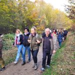 MTP St Germain - multicellulaire