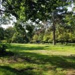 bois de vincennes
